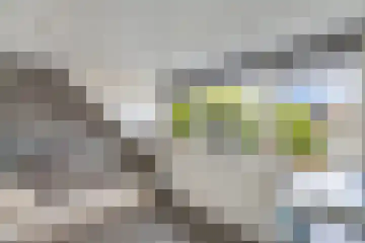 Oude Vlie 62 Emmeloord thumbnail 34