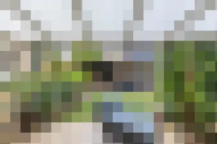 Oude Vlie 62 Emmeloord thumbnail 36