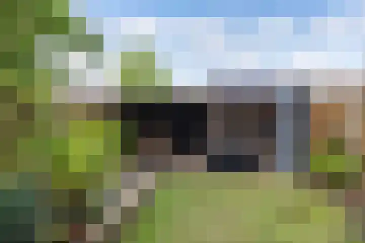 Oude Vlie 62 Emmeloord thumbnail 38