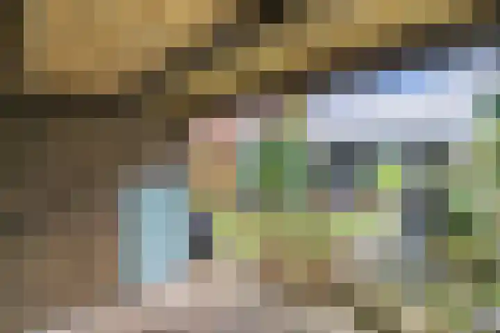 Oude Vlie 62 Emmeloord thumbnail 39