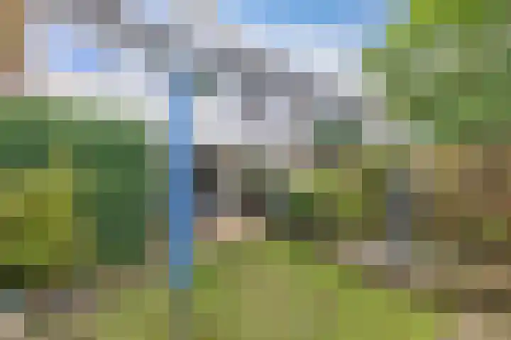 Oude Vlie 62 Emmeloord thumbnail 41