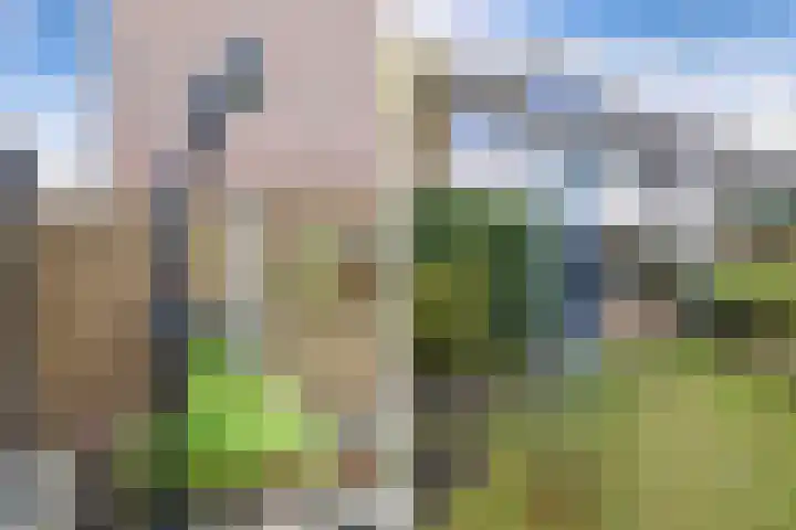 Oude Vlie 62 Emmeloord thumbnail 43