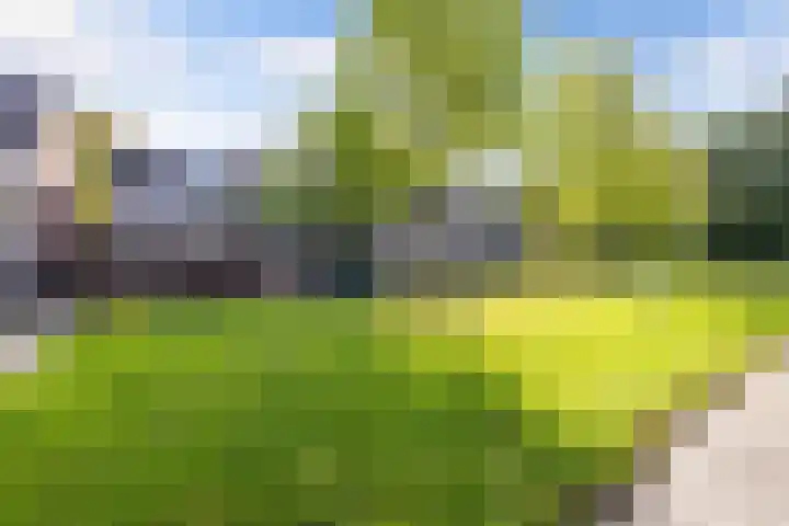 Oude Vlie 62 Emmeloord thumbnail 45