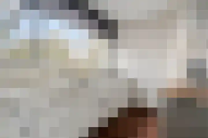 Oude Vlie 72 Emmeloord thumbnail 13