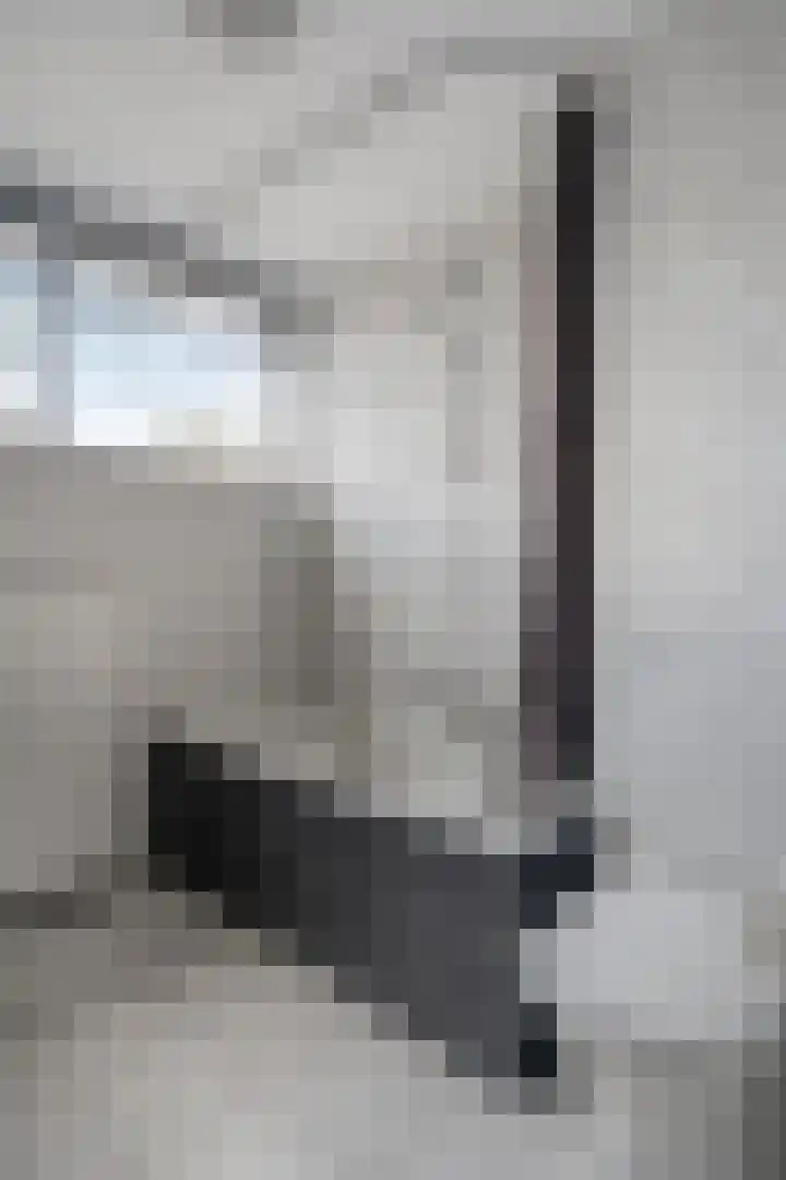 Oude Vlie 72 Emmeloord thumbnail 25