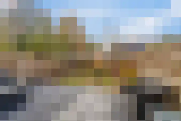 Oude Vlie 72 Emmeloord thumbnail 29
