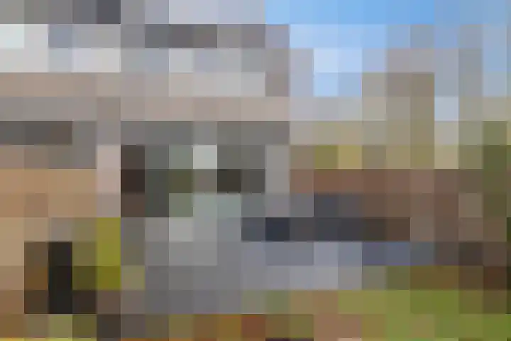 Oude Vlie 72 Emmeloord thumbnail 31