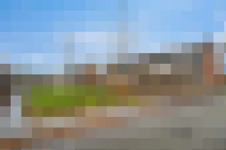 Oude Vlie 72 Emmeloord thumbnail 33