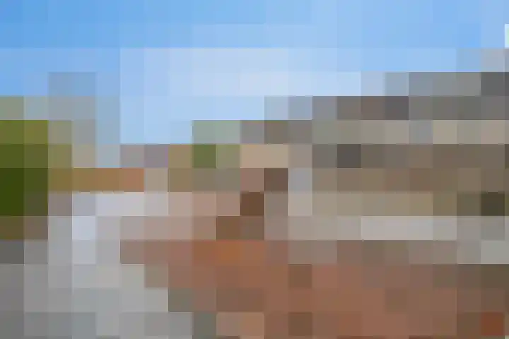 Oude Vlie 72 Emmeloord thumbnail 39