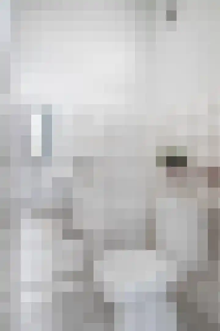 Oude Vlie 72 Emmeloord thumbnail 5
