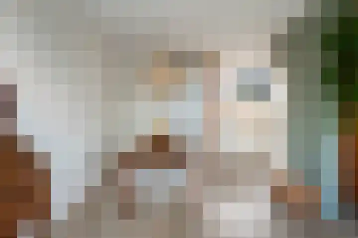Oude Vlie 8 Emmeloord thumbnail 14