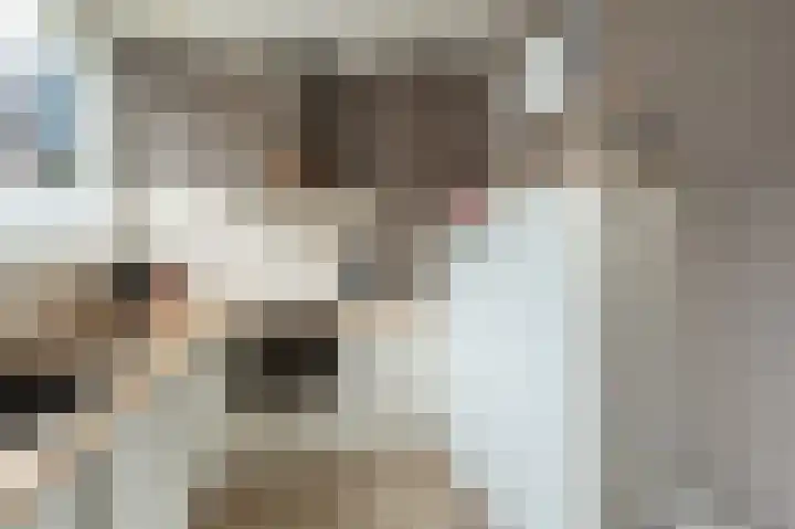 Oude Vlie 8 Emmeloord thumbnail 15