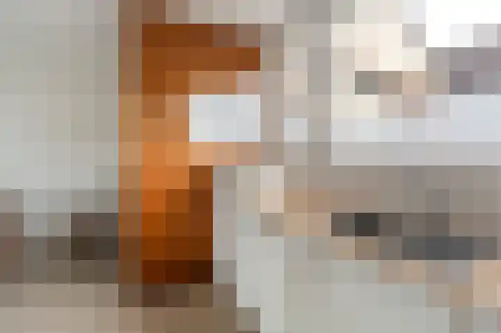 Oude Vlie 8 Emmeloord thumbnail 16