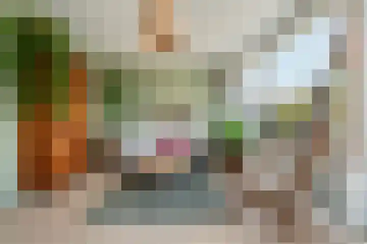 Oude Vlie 8 Emmeloord thumbnail 21