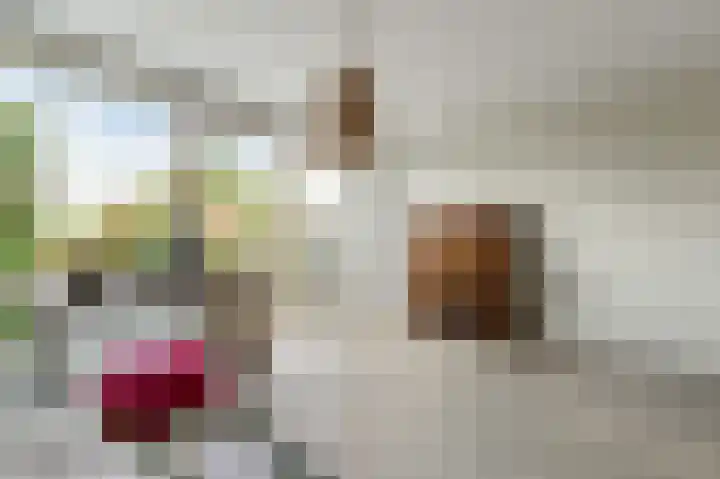 Oude Vlie 8 Emmeloord thumbnail 22