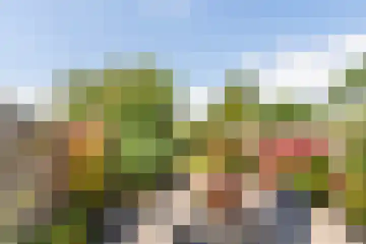 Oude Vlie 8 Emmeloord thumbnail 24