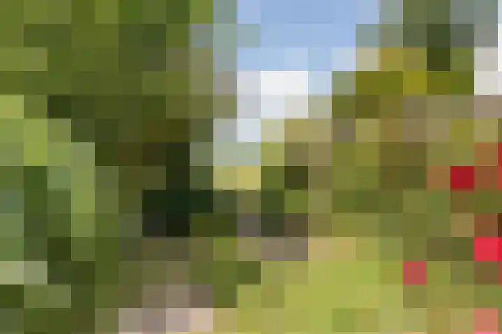 Oude Vlie 8 Emmeloord thumbnail 25