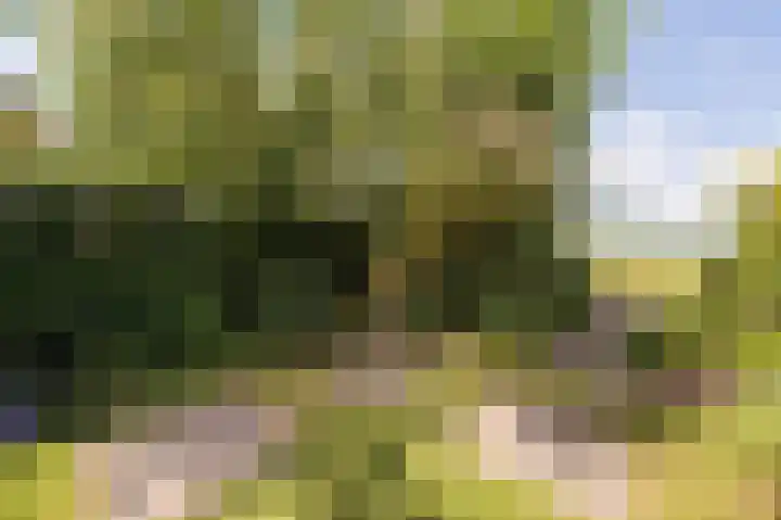 Oude Vlie 8 Emmeloord thumbnail 26
