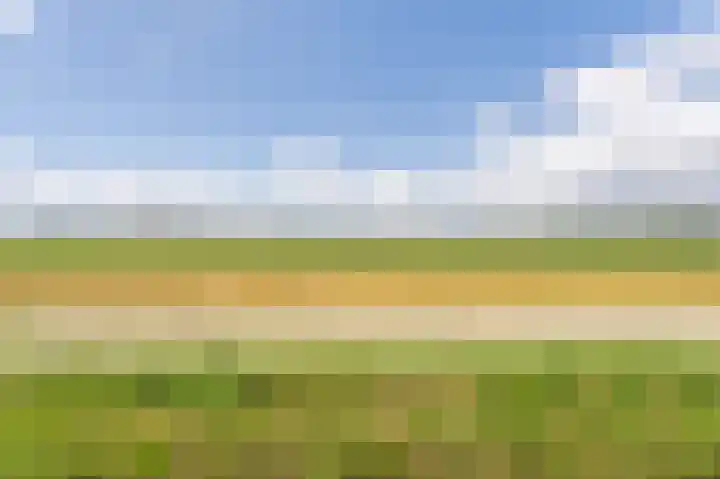 Oude Vlie 8 Emmeloord thumbnail 27
