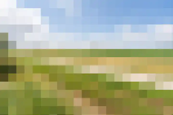 Oude Vlie 8 Emmeloord thumbnail 28