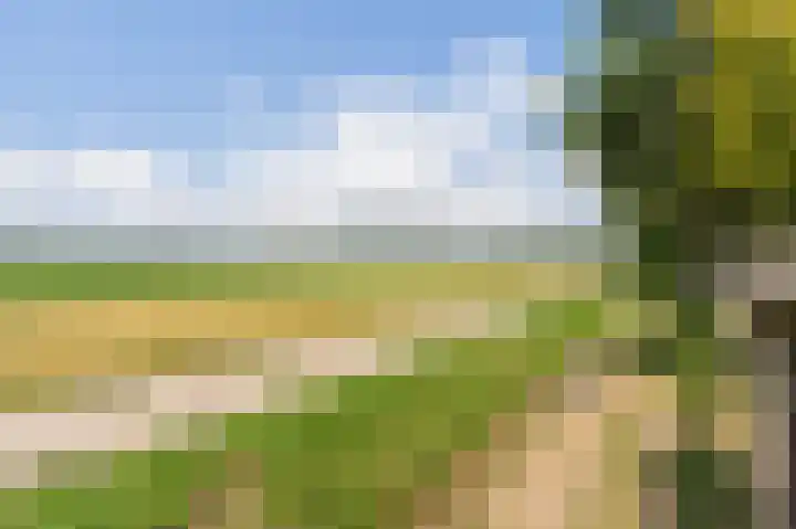 Oude Vlie 8 Emmeloord thumbnail 29