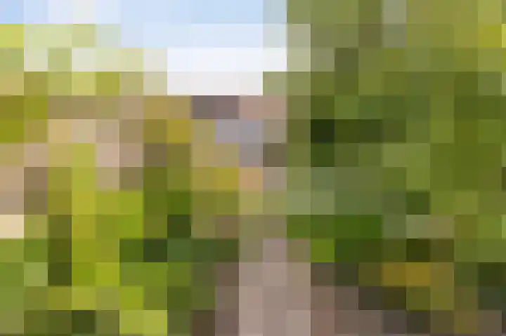 Oude Vlie 8 Emmeloord thumbnail 30
