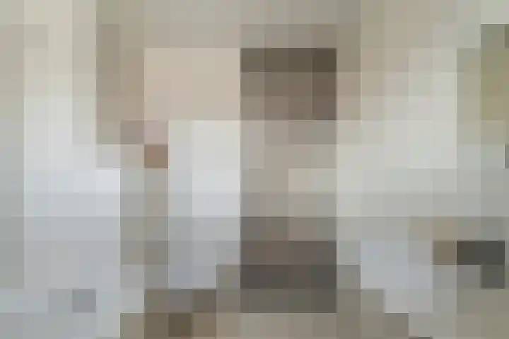 Oude Vlie 8 Emmeloord thumbnail 40