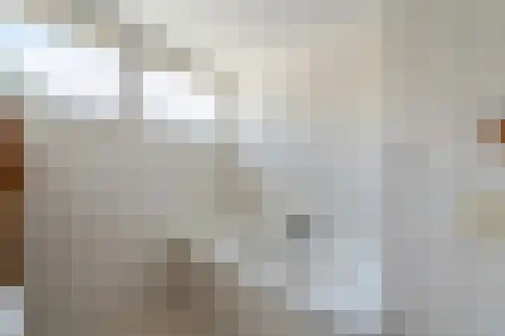 Oude Vlie 8 Emmeloord thumbnail 41