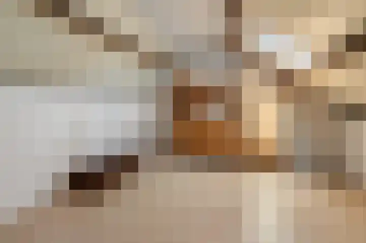 Oude Vlie 8 Emmeloord thumbnail 44
