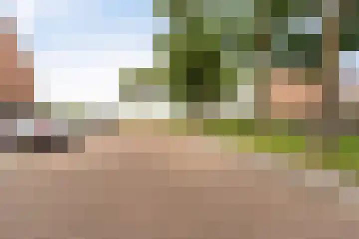 Oude Vlie 8 Emmeloord thumbnail 48