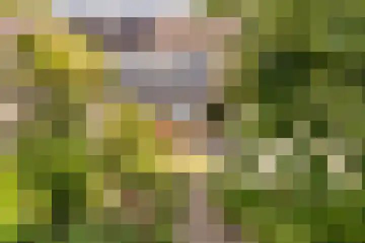 Oude Vlie 8 Emmeloord thumbnail 5