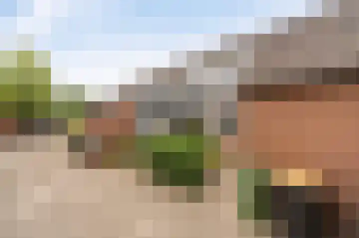 Oude Vlie 8 Emmeloord thumbnail 6