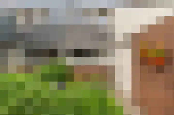 Oude Vlie 8 Emmeloord thumbnail 7