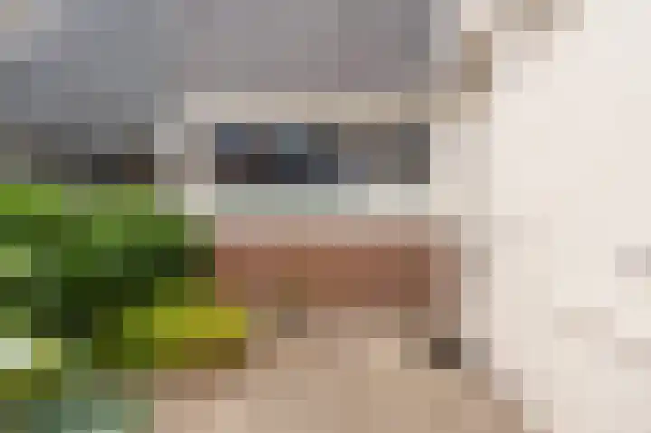 Oude Vlie 8 Emmeloord thumbnail 8