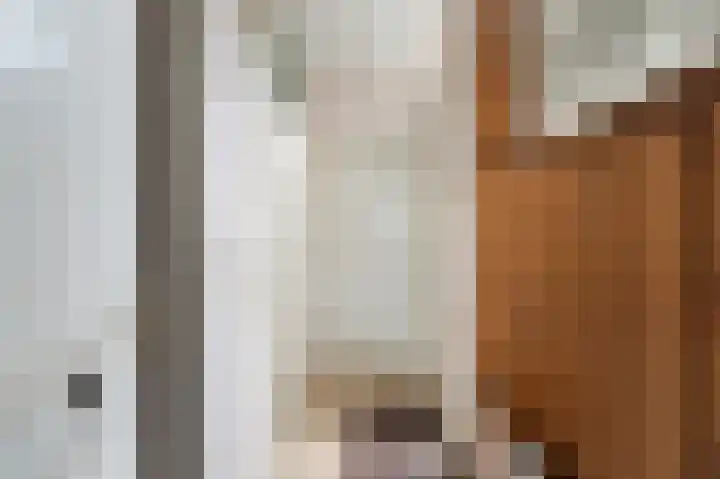 Oude Vlie 8 Emmeloord thumbnail 9