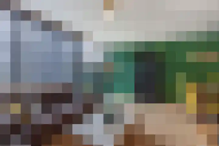 Oude Vlie 80 Emmeloord thumbnail 11