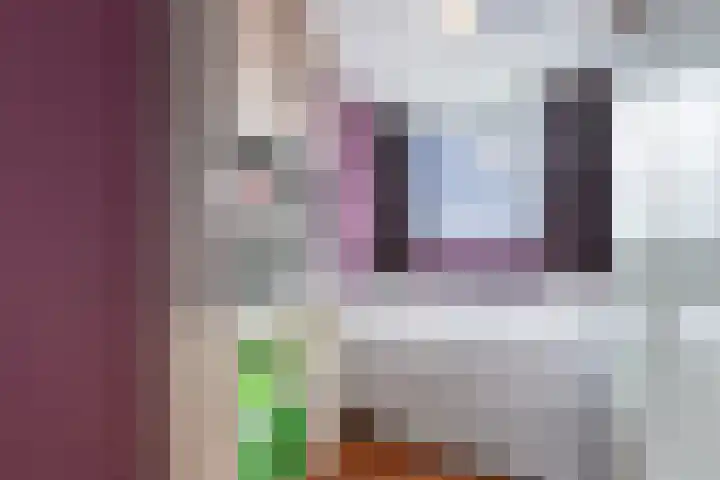 Oude Vlie 80 Emmeloord thumbnail 19