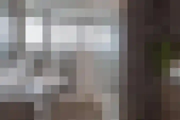 Oude Vlie 80 Emmeloord thumbnail 20