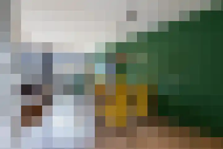 Oude Vlie 80 Emmeloord thumbnail 5