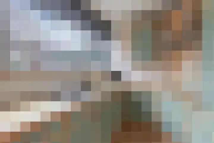 Oude Vlie 80 Emmeloord thumbnail 6