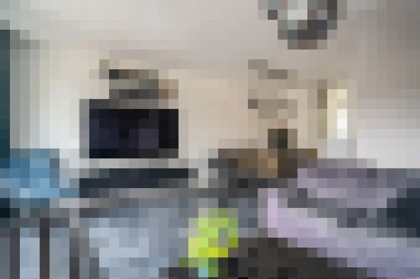 Oude Vlie 92 Emmeloord thumbnail 10