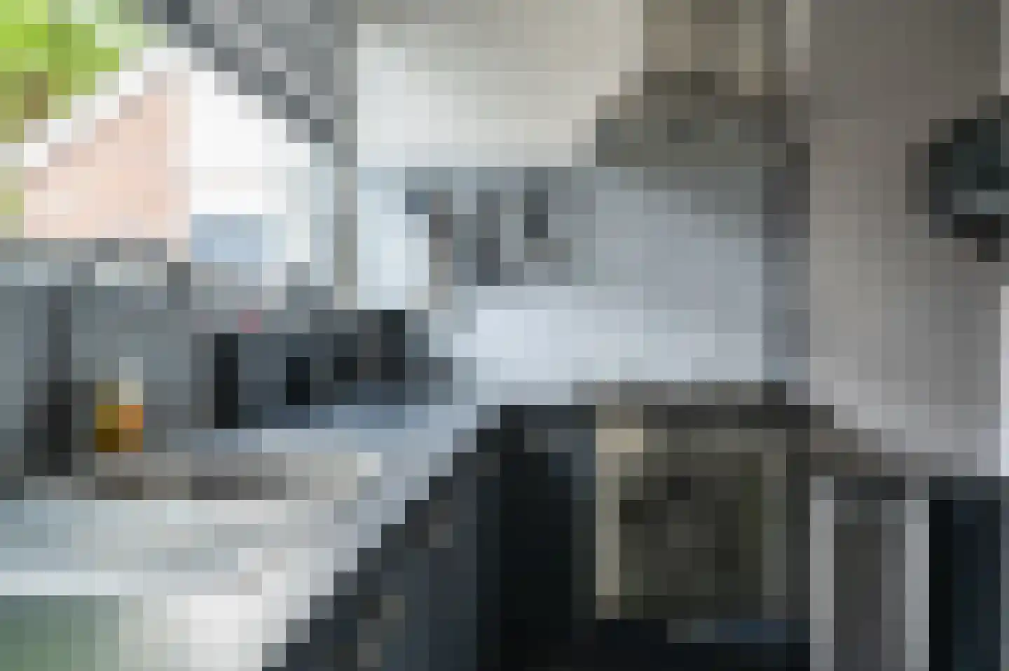 Oude Vlie 92 Emmeloord thumbnail 14