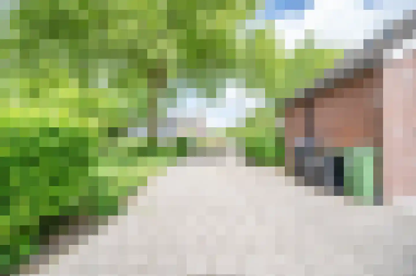 Oude Vlie 92 Emmeloord thumbnail 40