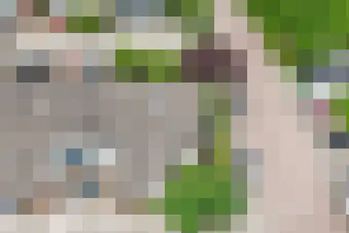 Oude Vlie 98 Emmeloord thumbnail 10