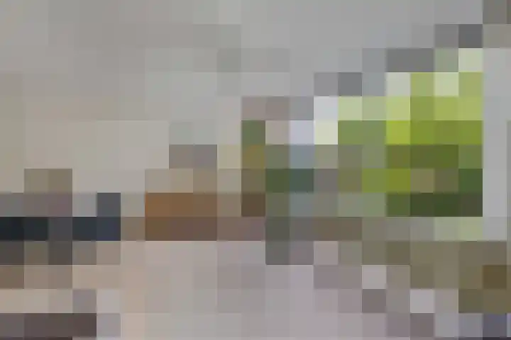 Oude Vlie 98 Emmeloord thumbnail 17