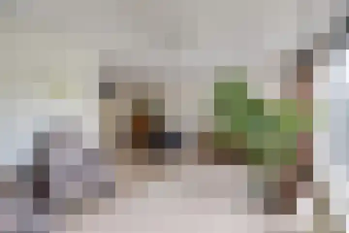 Oude Vlie 98 Emmeloord thumbnail 18