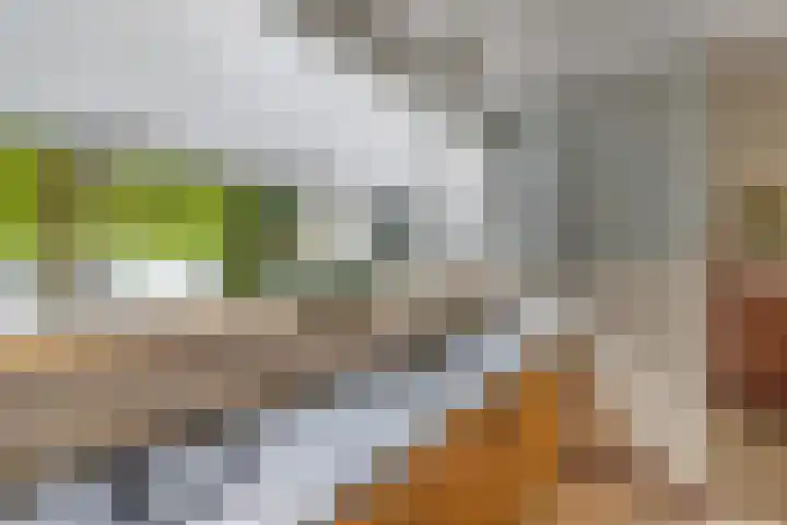 Oude Vlie 98 Emmeloord thumbnail 21