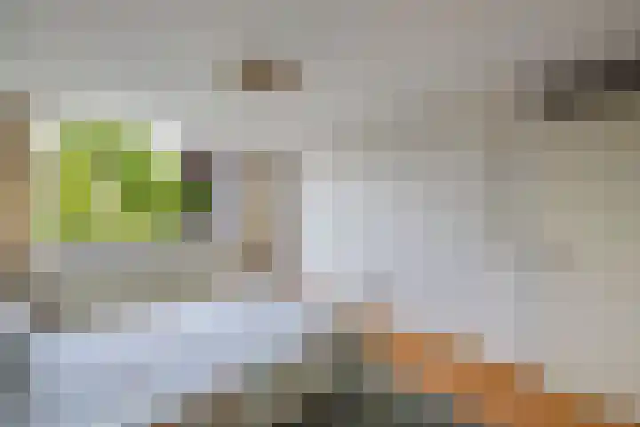 Oude Vlie 98 Emmeloord thumbnail 24
