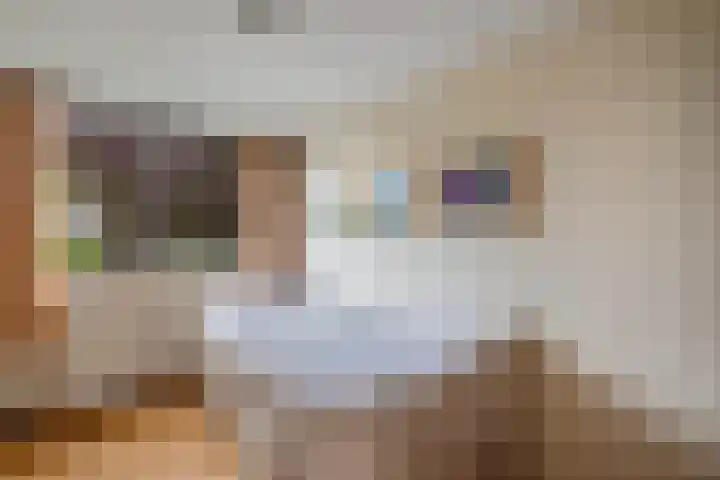 Oude Vlie 98 Emmeloord thumbnail 29