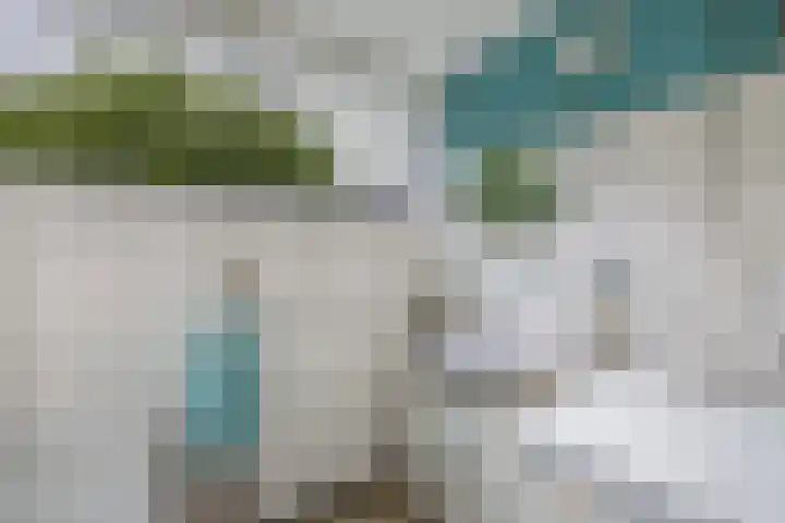Oude Vlie 98 Emmeloord thumbnail 31